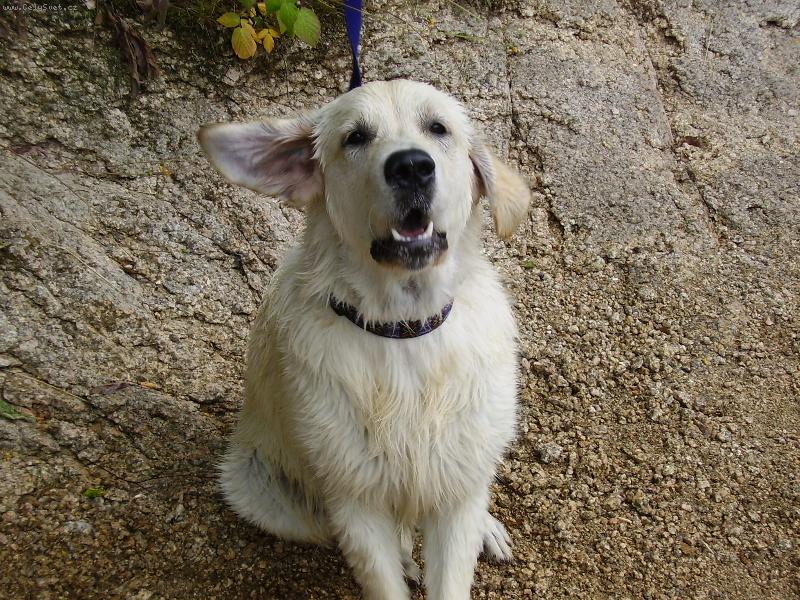 Foto: ukazatel směru