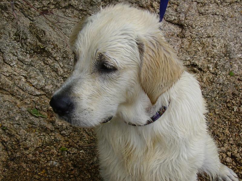 Foto: bude ze mě záchranář-po koupání na přehradě v Jablonci n.N.