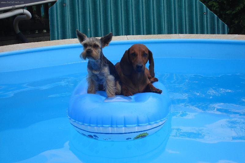 Foto: Parné léto-plavba Arbika s Kačenkou