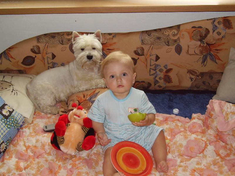 Foto: Naše dvě holčičky ...-Nejlepší kamarádky - Lejla(pes) a Eliška