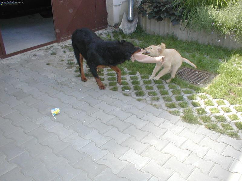 Foto: Sany + Megy-To je ale moje ála....ne to je moje.......ne moje...