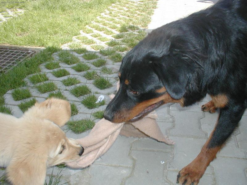 Foto: Sany + Megy-To je ale moje ála....ne to je moje.......ne moje...