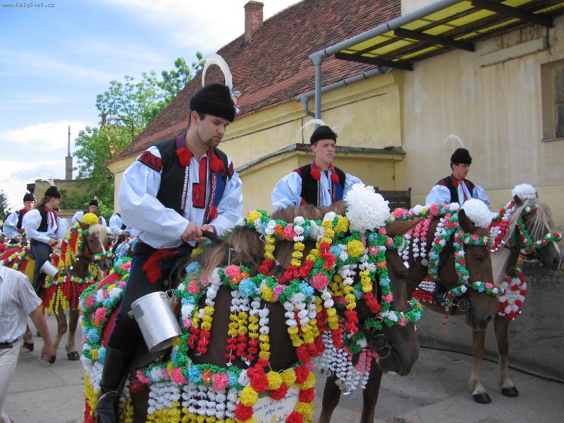 Foto: Jízda králů 2006-....krásné kroje ......, krásní koně... to je jízda králů...