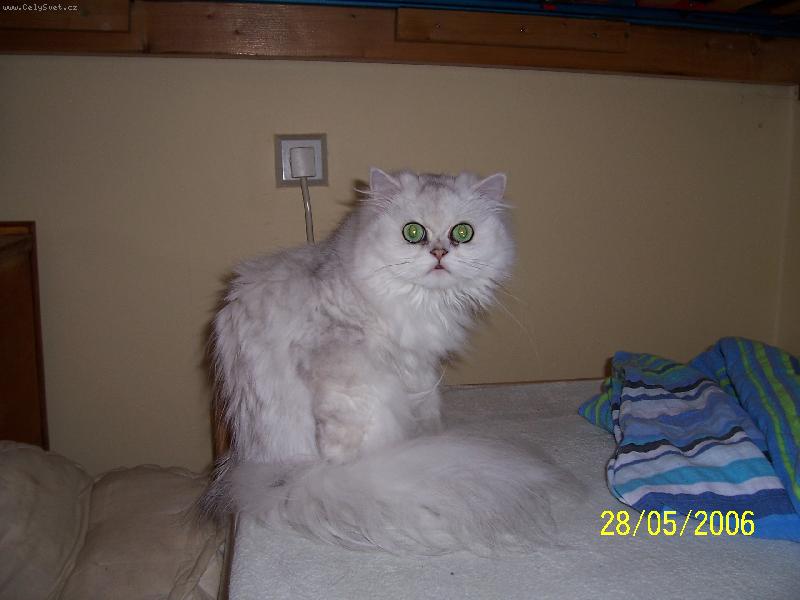 Foto: Mám to shrnený záda!!