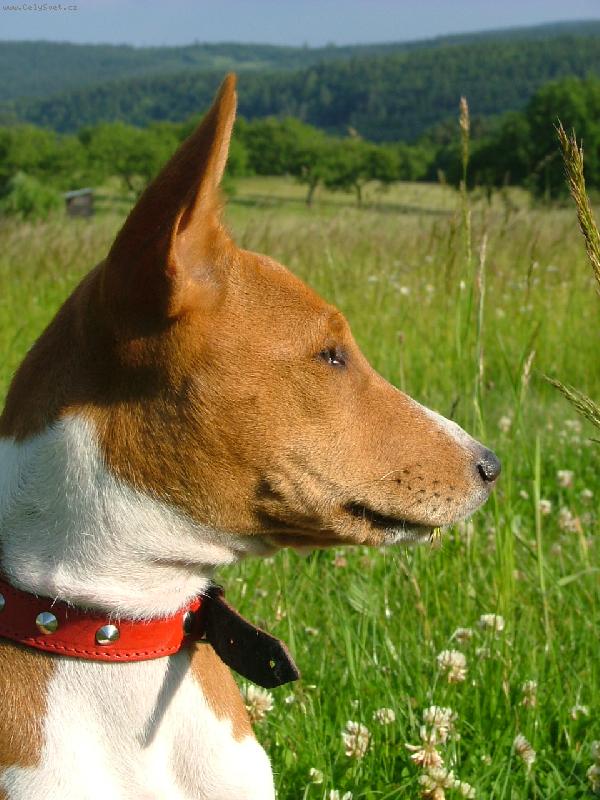 Foto: kesinka-na výletě