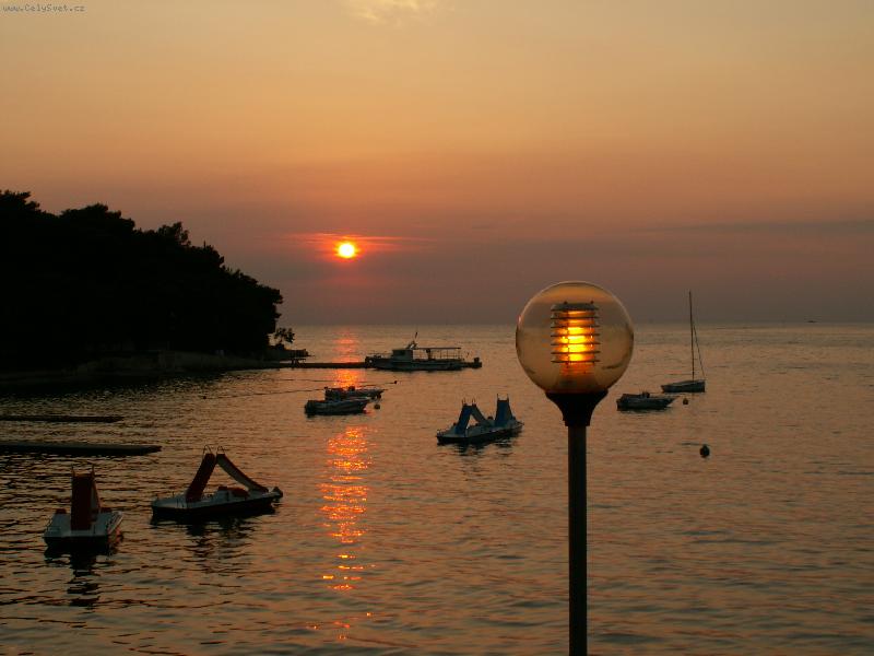 Foto: Světlo života