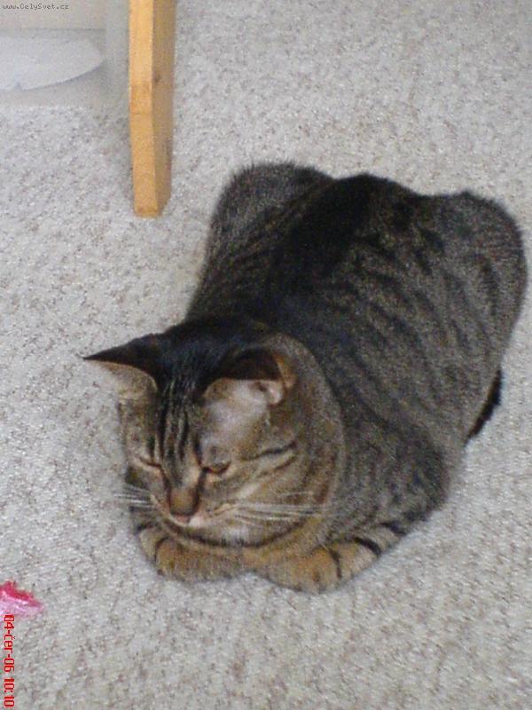 Foto: sexoška-krabička