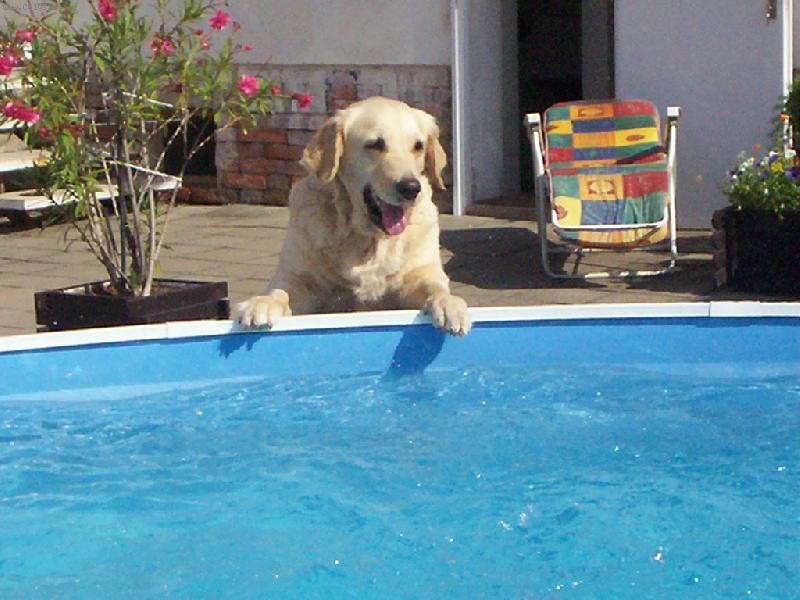 Foto: BESINA-Hurá do bazénku