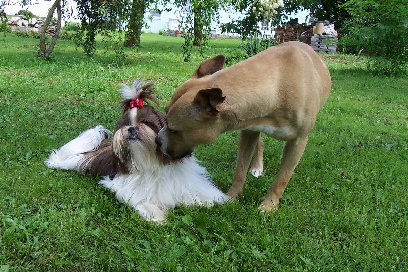 Foto: k princeznám se nečuchá