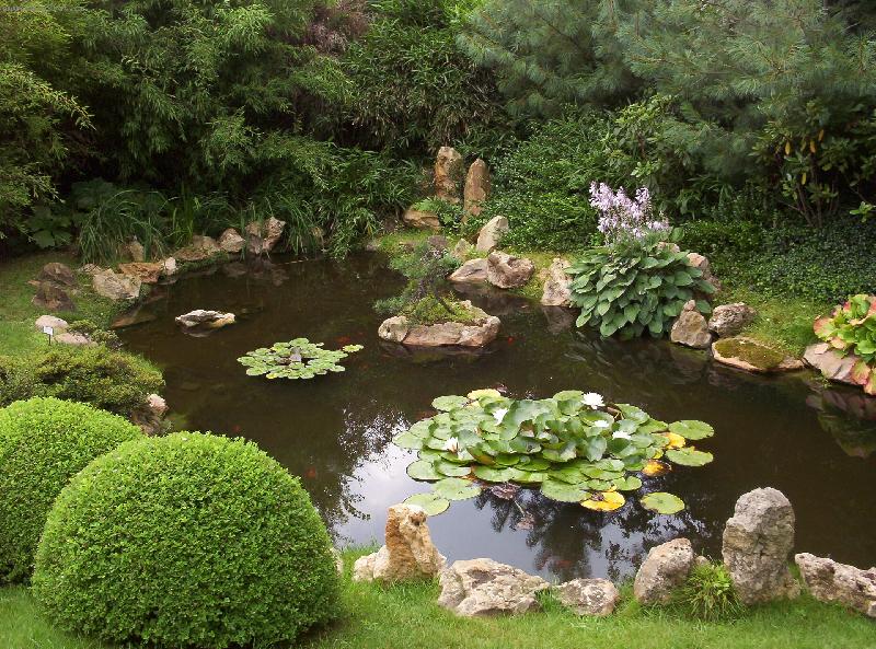 Foto: Na skok v Japonsku-Japonská zahrada v Botanické zahradě Praha