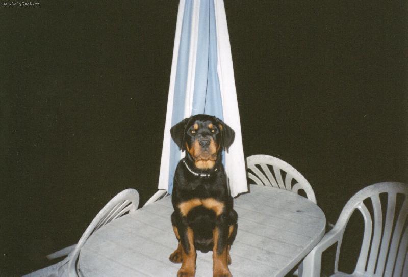 Foto: Argoušek pózuje :-)