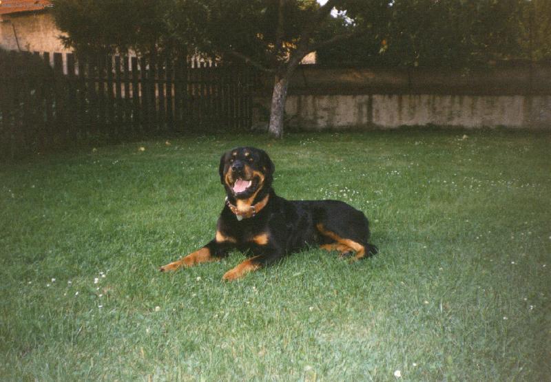 Foto: Áda nám pózuje ...