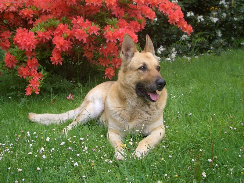 Foto: Nejfotogeničtější člen naší rodiny-Můj oblíbený kout zahrady