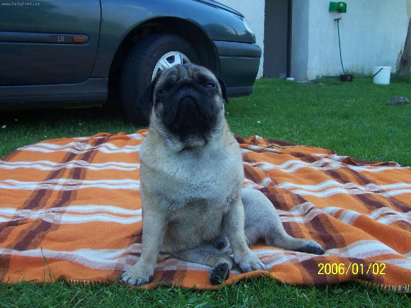 Foto: Eddy-Eddy dělá důležitého :D