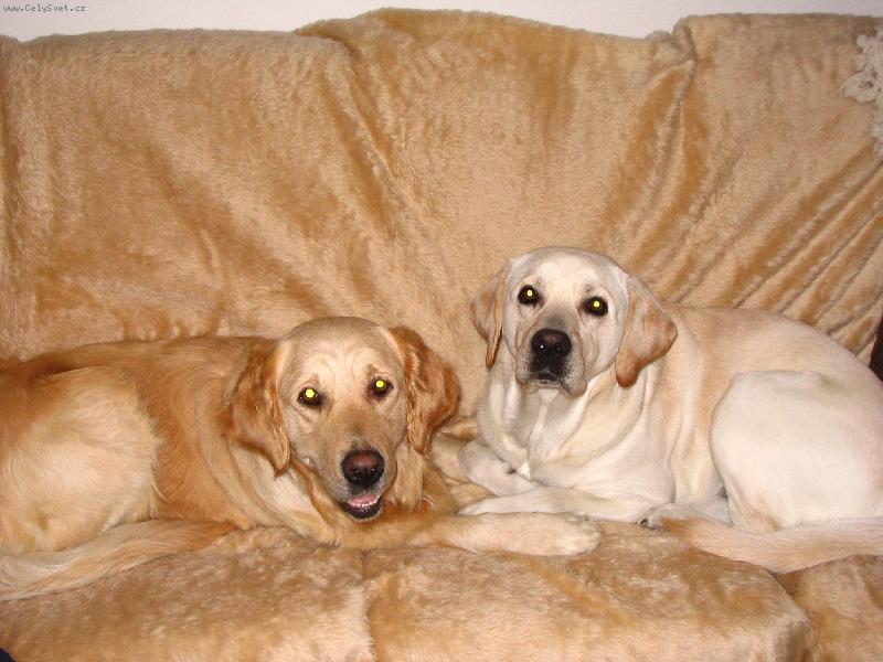 Foto: Bára-Barunka s přítelem :o)