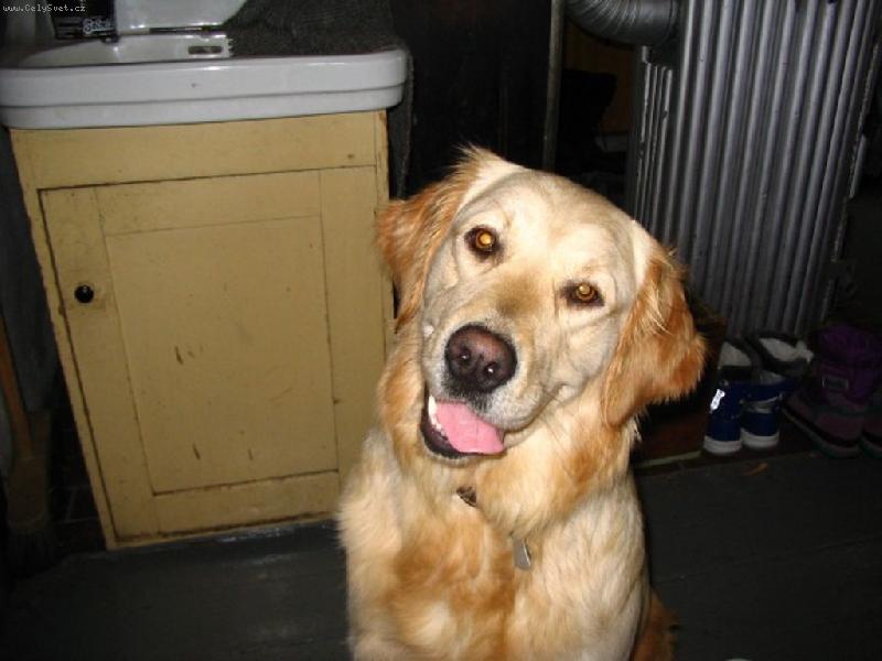 Foto: Bára-Co to děláš, člověče???