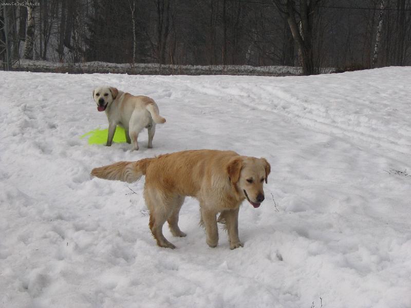 Foto: Bára-Počkej na mě, dojdu si taky pro lopatu a pojedu s Tebou!