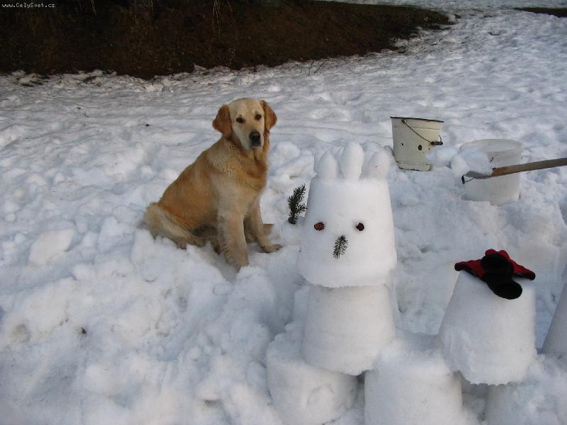 Foto: Bára-Zimní kamarád!