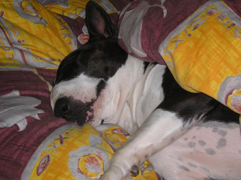 Foto: Odpočinek po namáhavé práci