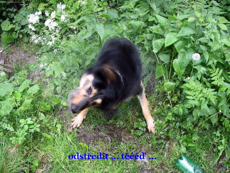 Foto: Odstředit teď