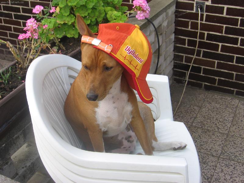 Foto: connerek miluje vyvolených-Škoda,že ti vyvolení skončili,mám takovou úžasnou čepici.