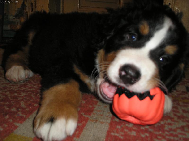 Foto: Aginka-Aginka a její první hračka...