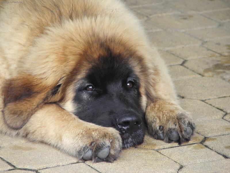 Foto: Angela spící