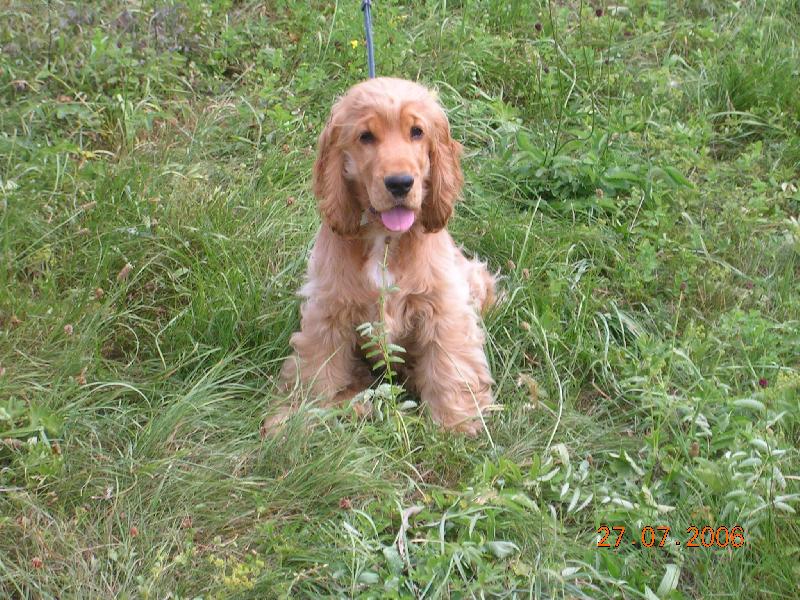 Foto: Tadeas Marcato Line-Na procházce......