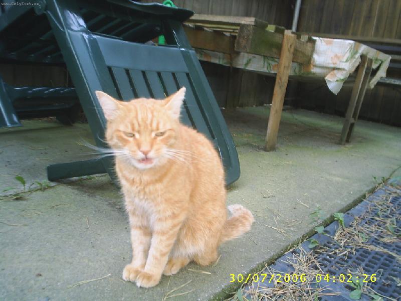 Foto: Filípek-Bez nálady