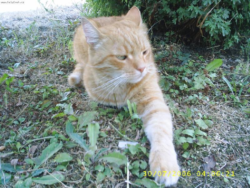 Foto: Filípek-Už jí vidím