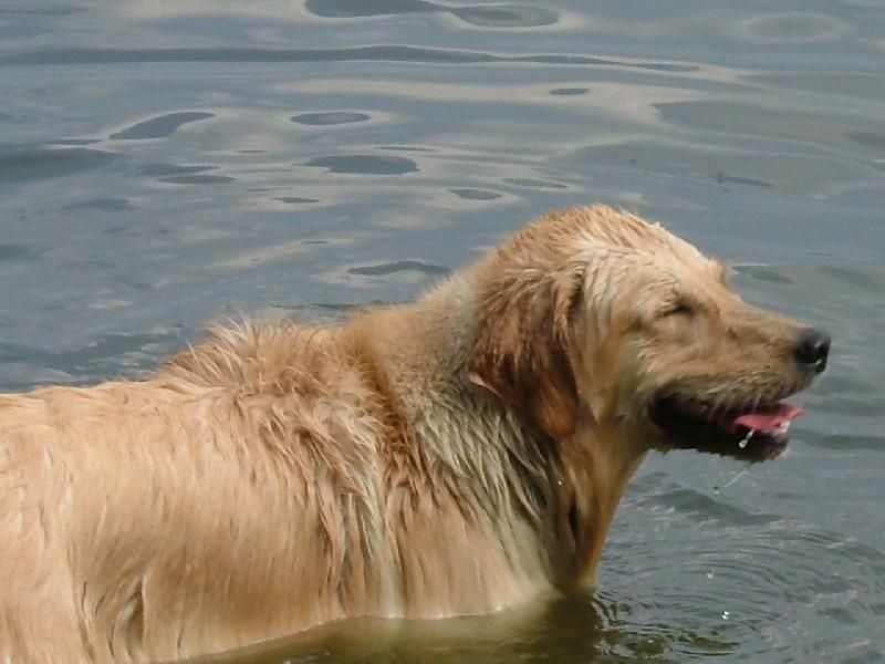 Foto: naše Brituška-voda jako kafe