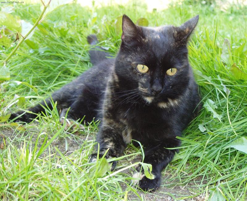 Foto: Adélka-Adélka pózuje.