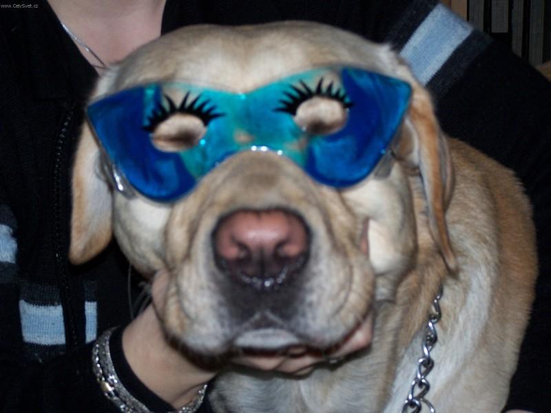 Foto: Kde že je ten karneval?-Atonek