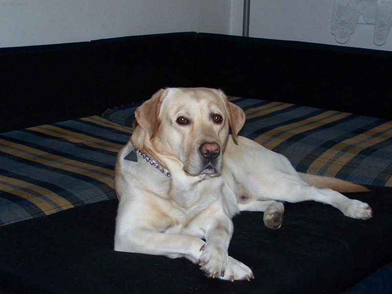 Foto: Já čekám........-Atonek