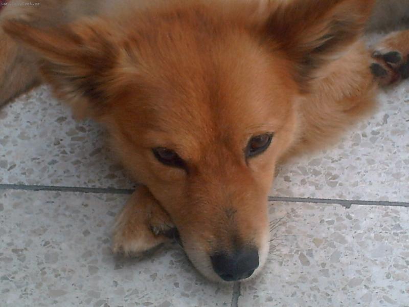 Foto: Snění-Sním o...