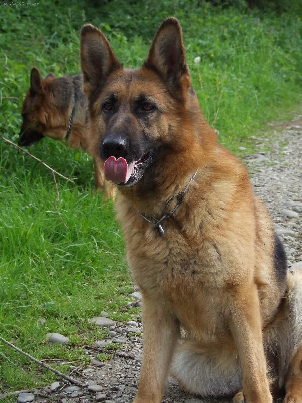 Foto: beee-Jeny Maserau