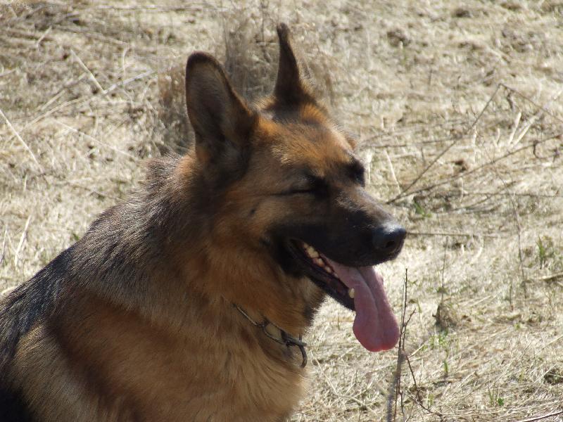 Foto: žmurkyyyyyyyyyy-:o)