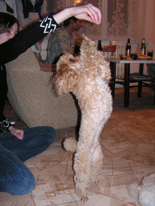 Foto: Umím tančit.-Za odměnu udělám vše.