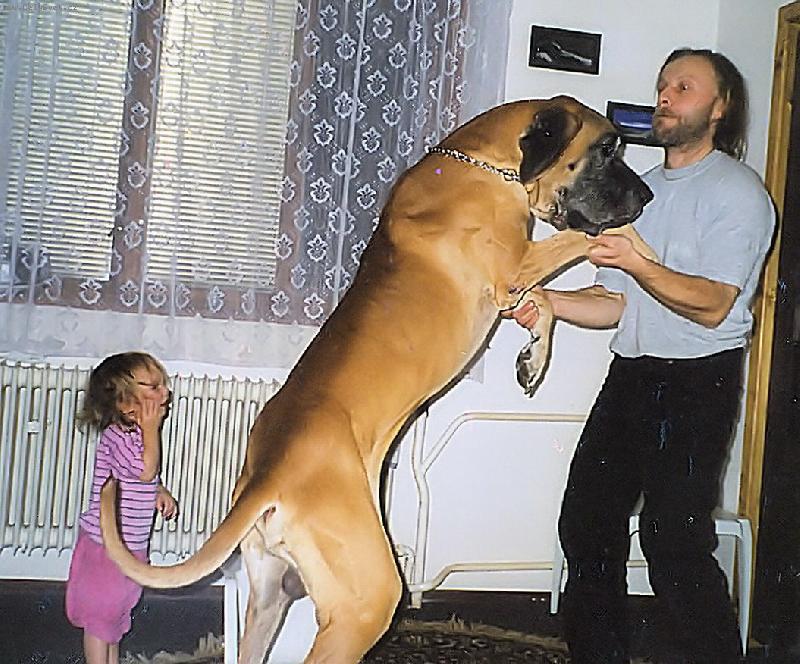 Foto: Také tak vyrostu?