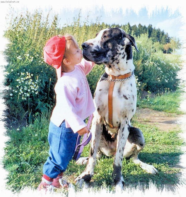 Foto: Malá pusa po výcviku