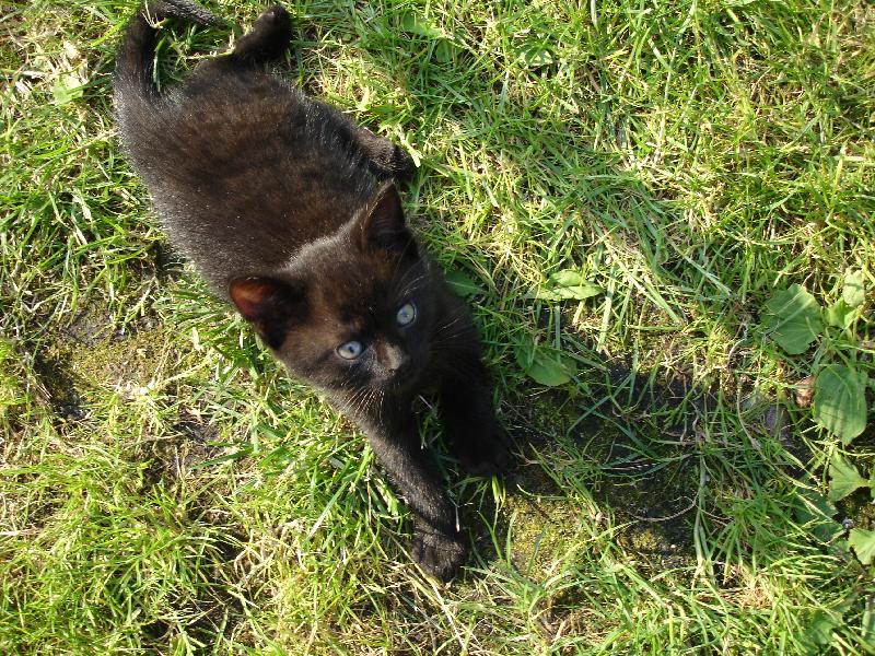 Foto: Tedýšek-pohodička