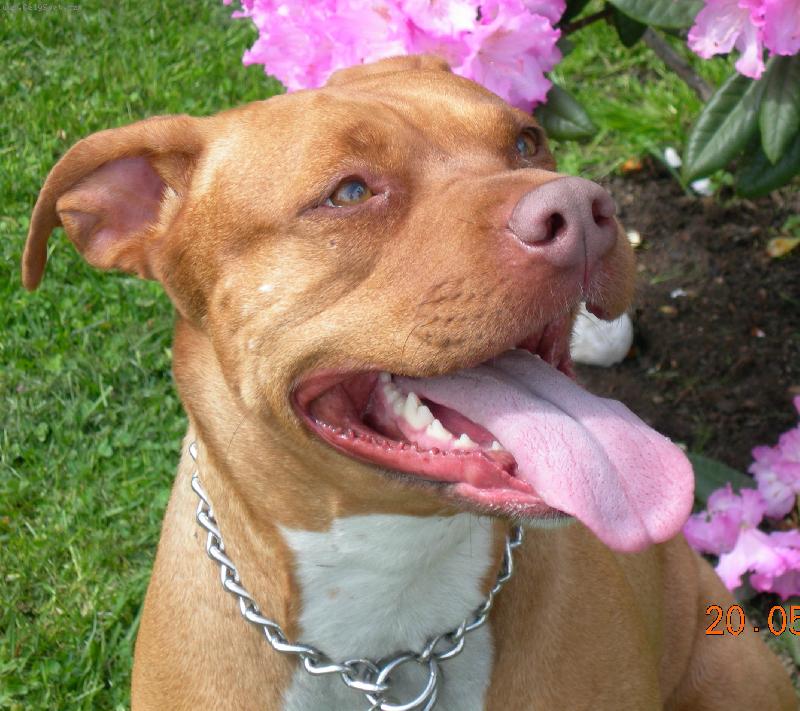 Foto: To mi to ale sluší, že?-Bullynka