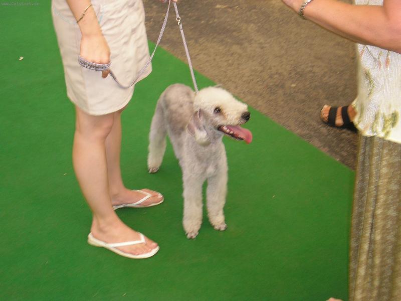 Foto: Asi tak se mám usmívat?:)-naše první výstava