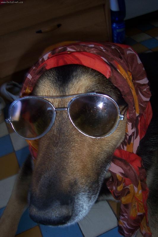 Foto: a ted se můžu slunit