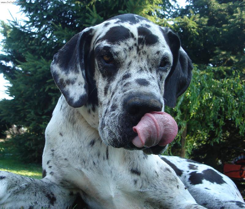 Foto: To byla bašta!