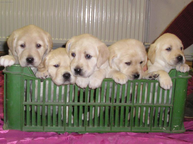 Foto: Bylo nás pět