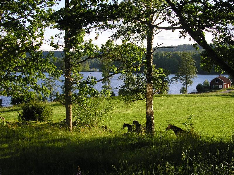 Foto: Švédská krajina