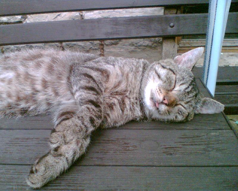 Foto: �ikulka-Nechte m� sp�t...