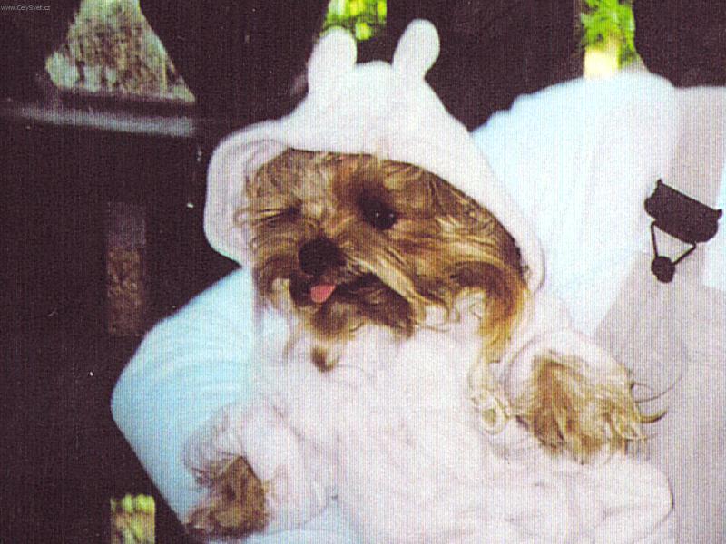 Foto: Laky-Naše díťátko