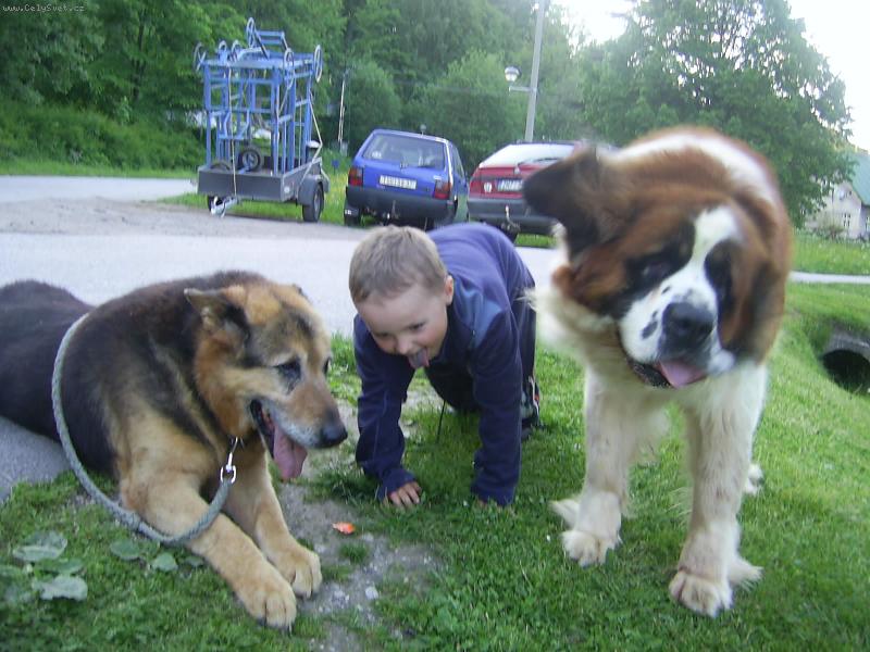 Foto: Bucci, Wells a já-Už jsem jako oni